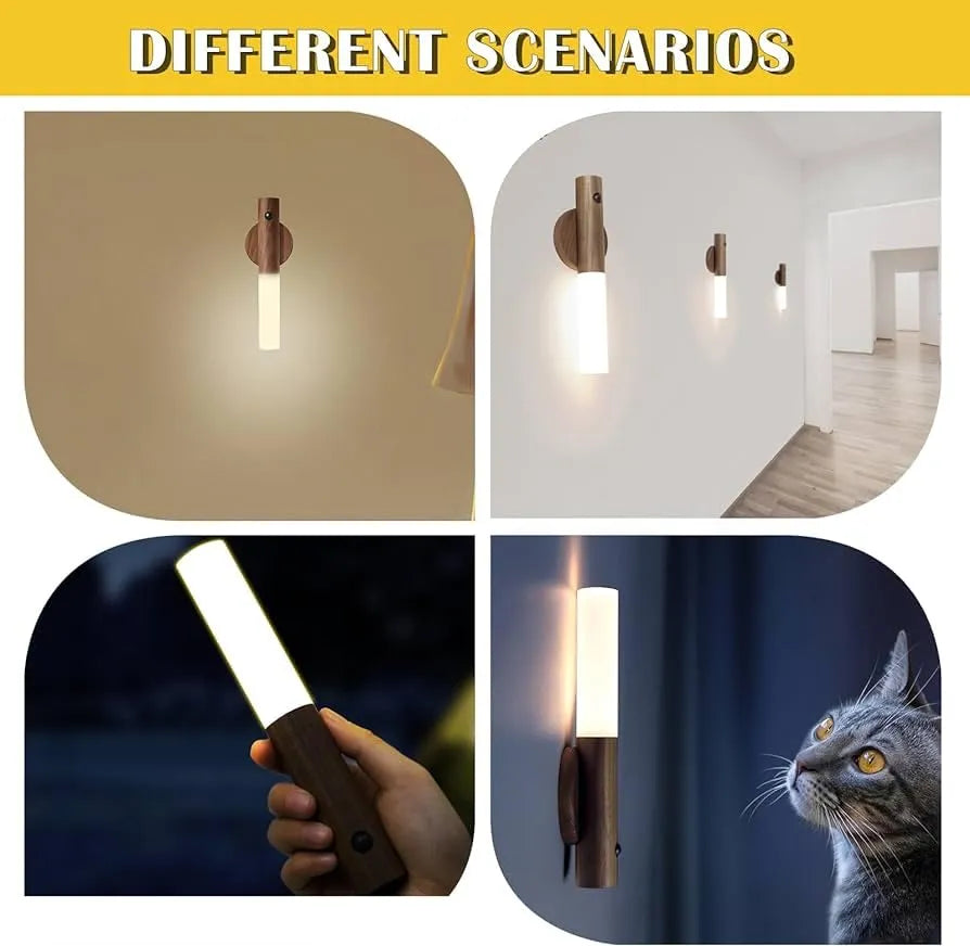 Intelligent Induction LED Light