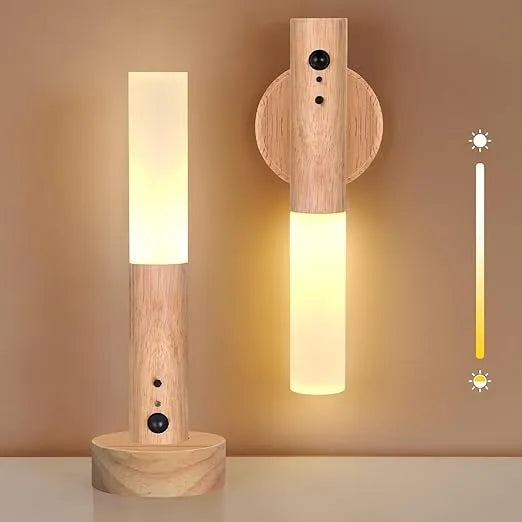 Intelligent Induction LED Light