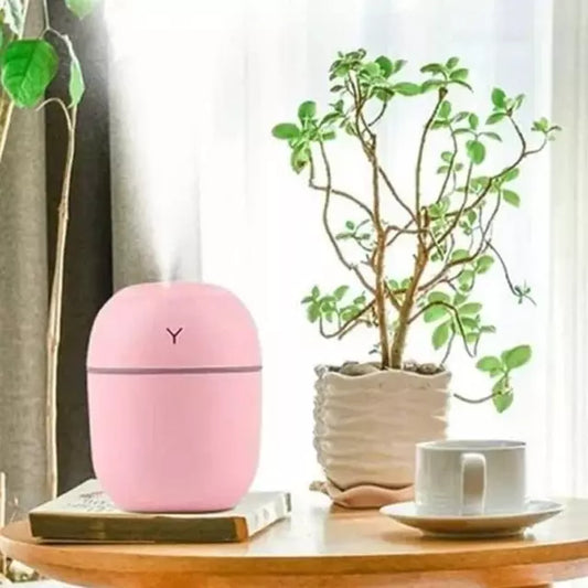 Egg Humidifier