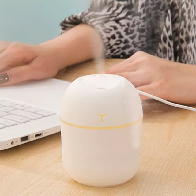 Egg Humidifier